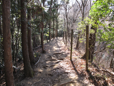 20170126hike (133)
